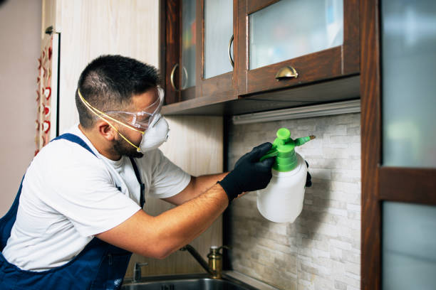 Best Best Pest Control Companies  in Noroton, CT