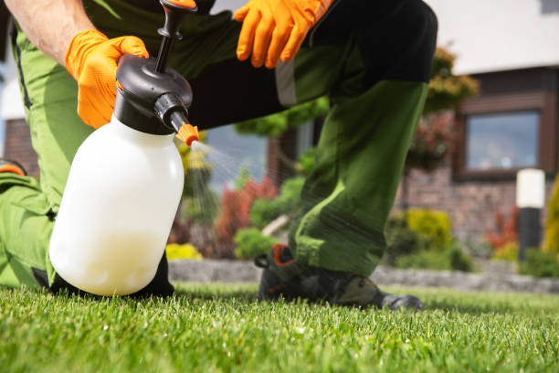Best Best Pest Control Companies  in Noroton, CT