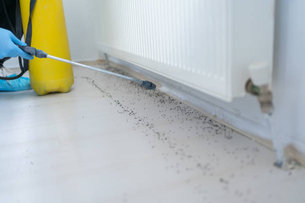 Best Best Pest Control Companies  in Noroton, CT