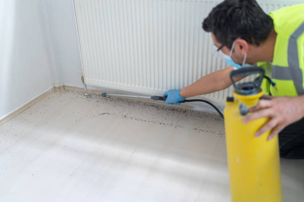 Best Pest Removal Services  in Noroton, CT